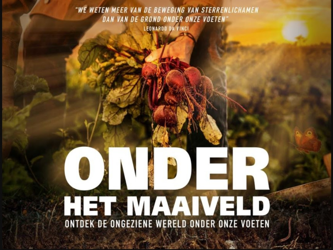 Film bij de Boer